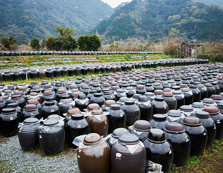 Birthplace of naturally fermented and saccharified black vinegar (“kurozu”)- Kakuida