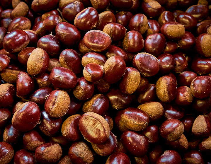 Treasured chestnuts – Iinuma Chestnuts