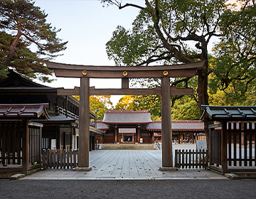 A forest in the city loved by the locals – Meiji Jingu