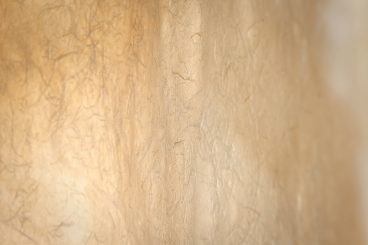 Takahuni Kawahara, the sole inheritor of Hirutani Washi paper, attracts