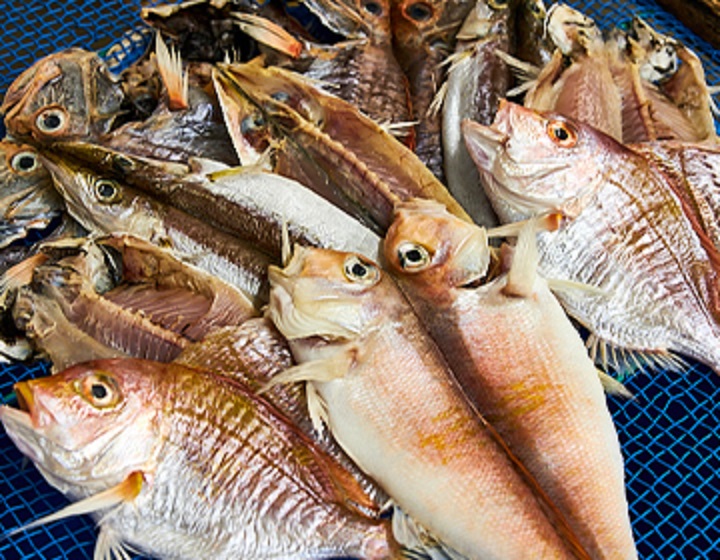 The number one seafood store – Sasue Maeda fish market