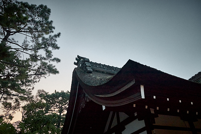 Sumiyoshi Taisha, the head office of the 2300 Sumiyoshi Shrines throughout Japan.