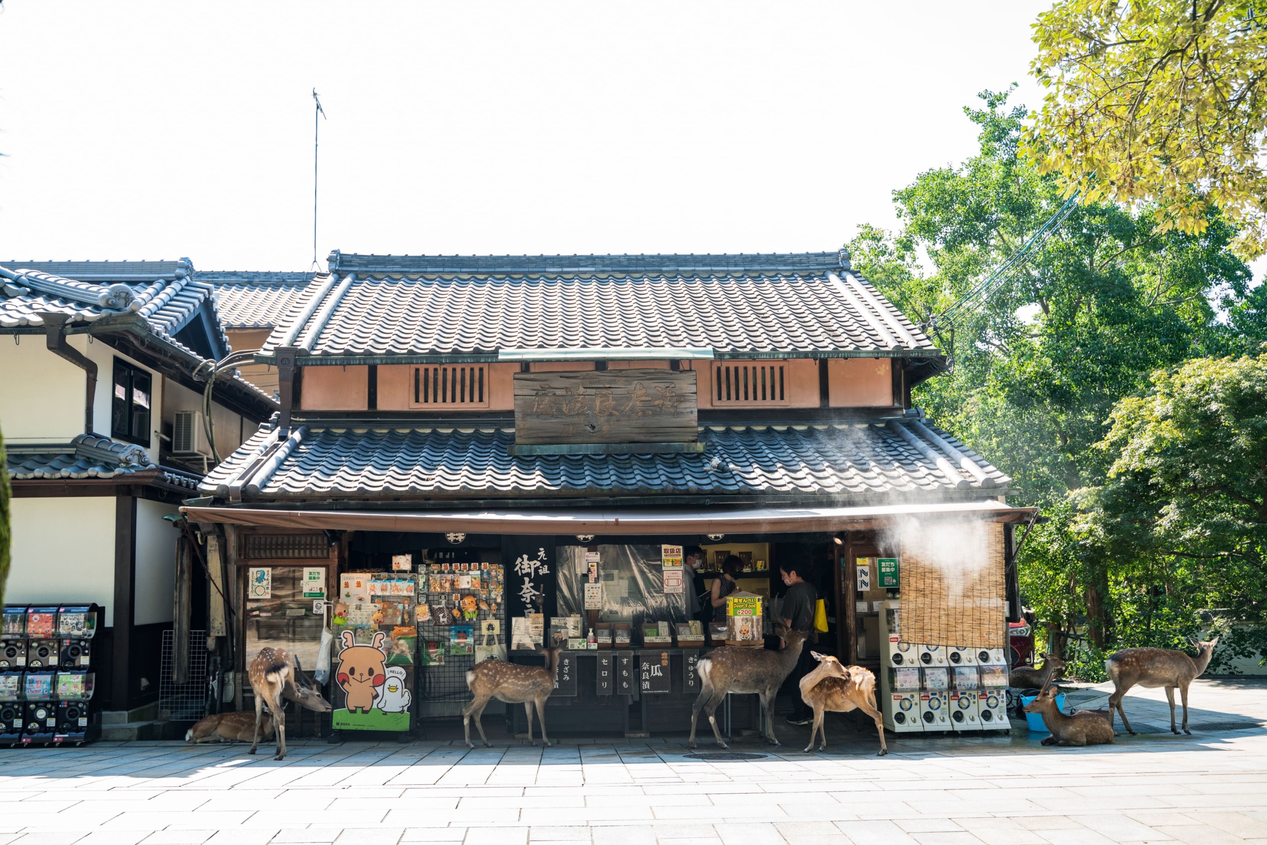Completely additive-free fermented food “Mori Narazuke Shop” established in 1869