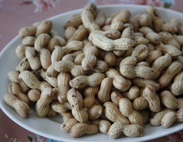 The great taste of Yachimata peanuts ”Fukuya Shoten”