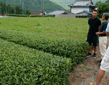 Tea making that spares no effort ”Kawane Tea, Takada Farm”