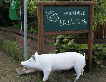 Gold prize winning sausages, even in Germany ”Hayashi Farm, Fukuton-no-sato, Tonton Hiroba”