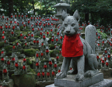 Temple where ”inari” foxes are enshrined ”Toyokawa Inari”