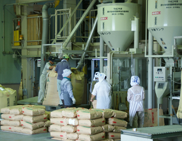 Creating seed rice ”JA Tonamino Rice Plant Center”