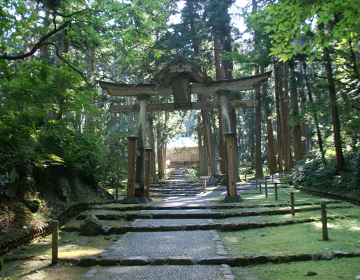 苔の息づく神社「平泉寺白山神社」