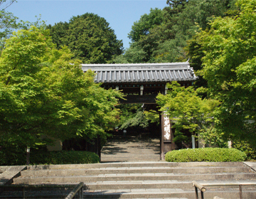 美しき日本の寺 「光明寺」