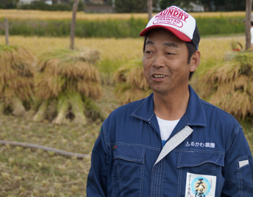 Rice grown with herbal medicine ”Rice farmer Masayuki Furukawa”