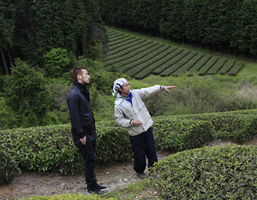 Tea Fields Restored with Power of Nature ”Kenichi Shizen Nouen”