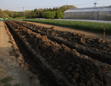 ”Shimamoto Microbial Industry” The importance of soil building