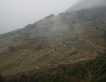 ”Maruyama Senmaida” Beautiful landscape where you can see the rice terrace