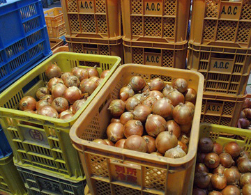 Awaji Onion Club – Onions grown in fields where fireflies gather