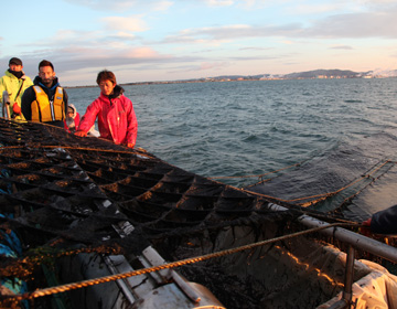 目指すは、ごはんが進む海苔「海苔漁師　相澤太」