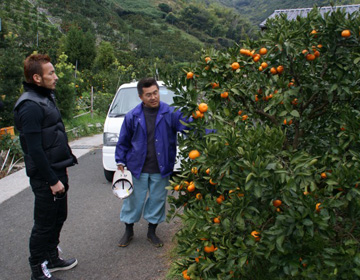 ”Muchacha-en” aiming for organic citrus fruits farming involving the whole town
