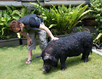 本島　沖縄で畜産を営む「我那覇畜産」