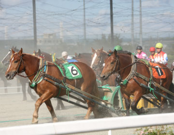 ”Banei Horse Race” a horse competition carrying on the spirit of the pioneer era
