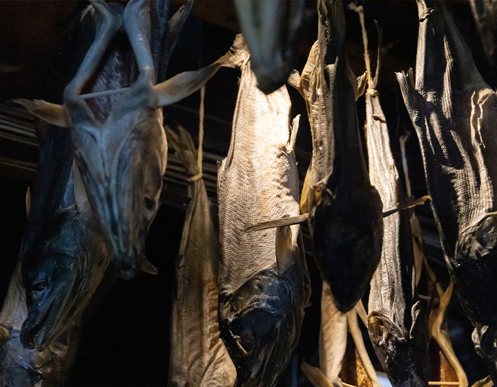 越後村上の伝統文化、愛情こめて作られた「千年鮭 きっかわ」の塩引鮭