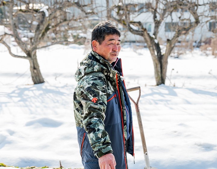 雪の重みに耐えて甘みを増す山形県の伝統野菜「山形赤根ほうれんそう」柴田吉昭さん