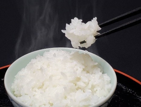 こけしペットボトル（最高峰ブレンド3合）450g<br>白米／玄米【にほんものストア限定商品】