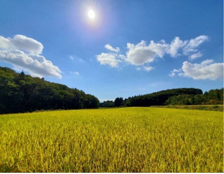 世界が認めた自然栽培。山形の自然が育んだ「米の匠 みのりガーデン」の米